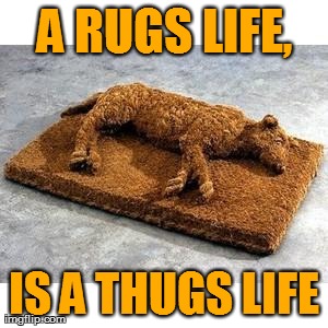 A RUGS LIFE, IS A THUGS LIFE | image tagged in rugs life, thugs life | made w/ Imgflip meme maker