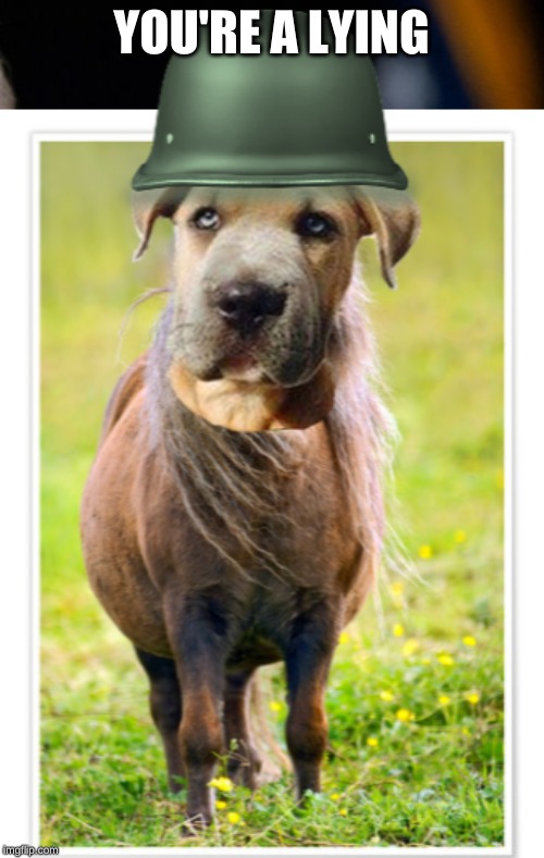 YOU'RE A LYING | image tagged in lying dog faced pony soldier 2 | made w/ Imgflip meme maker