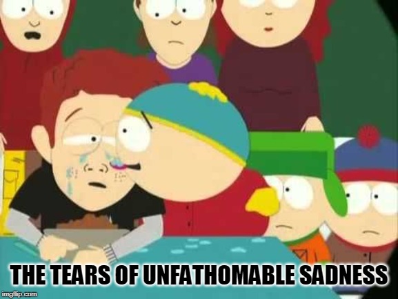 Cartman tears | THE TEARS OF UNFATHOMABLE SADNESS | image tagged in cartman tears | made w/ Imgflip meme maker
