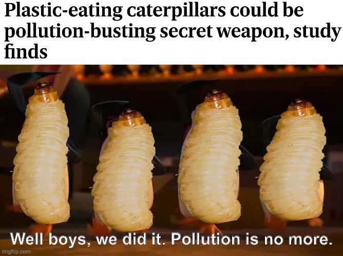 Up√0†¡πg ge†5 ¥0u p0¡π†5! | Well boys, we did it. Pollution is no more. | image tagged in funny,memes,well boys we did it blank is no more,pollution,caterpillar | made w/ Imgflip meme maker