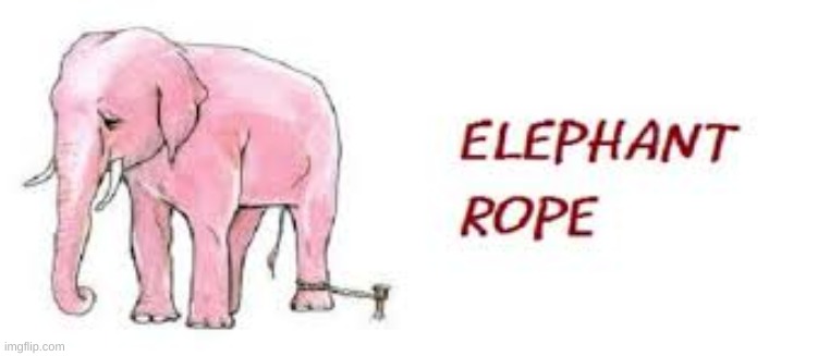 Elephant rope | image tagged in elephant,inspire | made w/ Imgflip meme maker