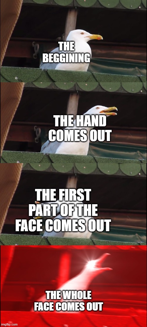 THE BEGGINING THE HAND COMES OUT THE FIRST PART OF THE FACE COMES OUT THE WHOLE FACE COMES OUT | image tagged in memes,inhaling seagull | made w/ Imgflip meme maker