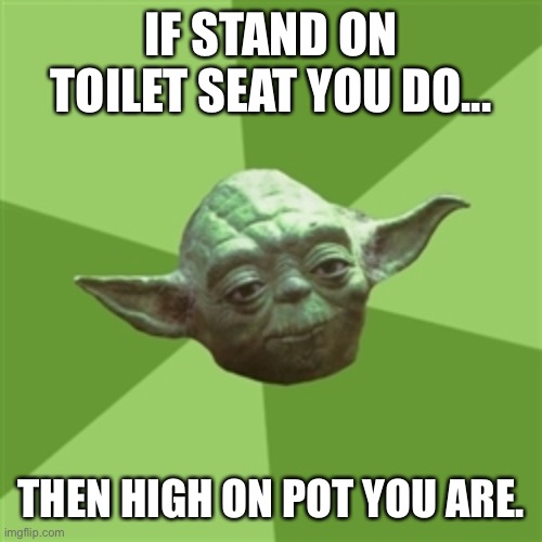 Advice Yoda | IF STAND ON TOILET SEAT YOU DO... THEN HIGH ON POT YOU ARE. | image tagged in memes,advice yoda | made w/ Imgflip meme maker