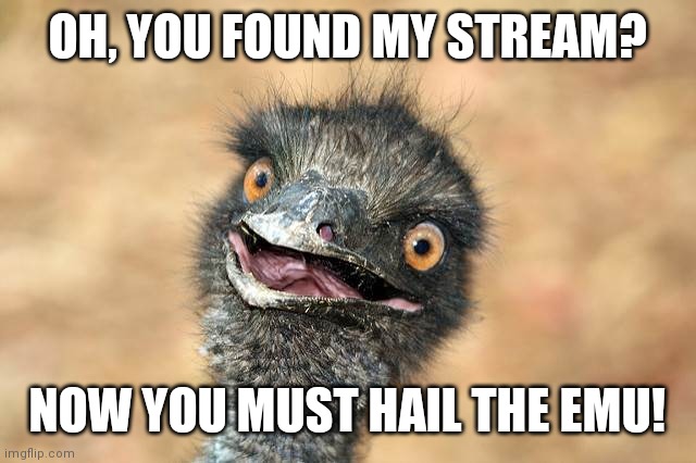 surprised emu | OH, YOU FOUND MY STREAM? NOW YOU MUST HAIL THE EMU! | image tagged in surprised emu | made w/ Imgflip meme maker