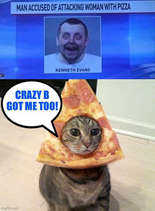 Pizza cat: origins | CRAZY B GOT ME TOO! | image tagged in pizza cat,crazy,memes,funny | made w/ Imgflip meme maker