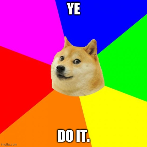 Advice Doge | YE; DO IT. | image tagged in memes,advice doge | made w/ Imgflip meme maker