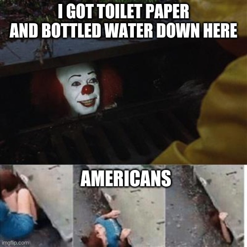 Cosco no have it | I GOT TOILET PAPER AND BOTTLED WATER DOWN HERE; AMERICANS | image tagged in pennywise in sewer | made w/ Imgflip meme maker