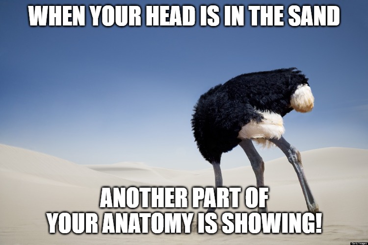 Ostrich head in sand | WHEN YOUR HEAD IS IN THE SAND; ANOTHER PART OF YOUR ANATOMY IS SHOWING! | image tagged in ostrich head in sand | made w/ Imgflip meme maker