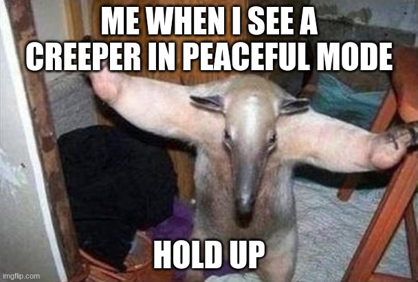 Anteater - I Got This | ME WHEN I SEE A CREEPER IN PEACEFUL MODE; HOLD UP | image tagged in anteater - i got this | made w/ Imgflip meme maker