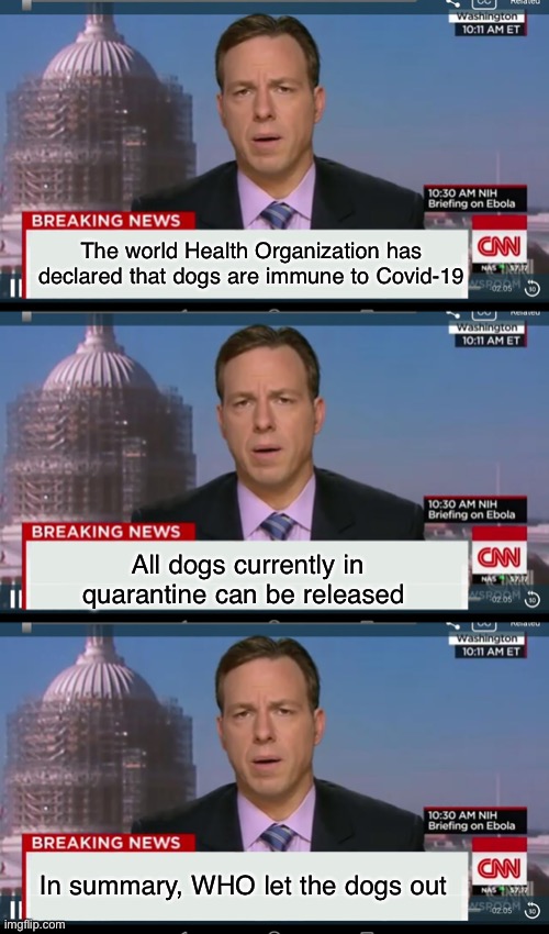 Who let the dogs out? WHO, WHO ,WHO, WHO | The world Health Organization has declared that dogs are immune to Covid-19; All dogs currently in quarantine can be released; In summary, WHO let the dogs out | image tagged in cnn breaking news template,dogs,corona virus,covid-19 | made w/ Imgflip meme maker