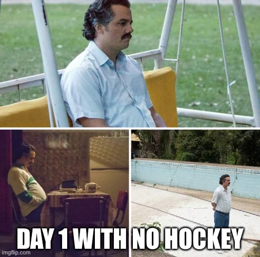 NHL | DAY 1 WITH NO HOCKEY | image tagged in nhl,hockey,coronavirus | made w/ Imgflip meme maker
