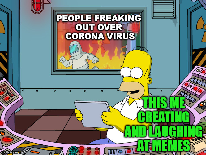 Not many freaking out but I know of a couple who are. Always be prepared in the future. | PEOPLE FREAKING 
OUT OVER 
CORONA VIRUS; THIS ME CREATING AND LAUGHING AT MEMES | image tagged in homer simpson,corona virus,freak out,panic | made w/ Imgflip meme maker