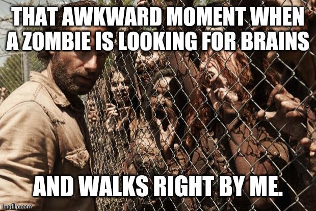 zombies | THAT AWKWARD MOMENT WHEN A ZOMBIE IS LOOKING FOR BRAINS; AND WALKS RIGHT BY ME. | image tagged in zombies | made w/ Imgflip meme maker