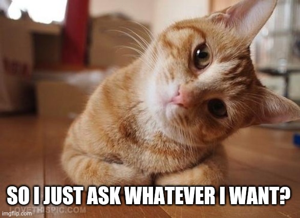 Questions, questions | SO I JUST ASK WHATEVER I WANT? | image tagged in curious question cat,memes | made w/ Imgflip meme maker