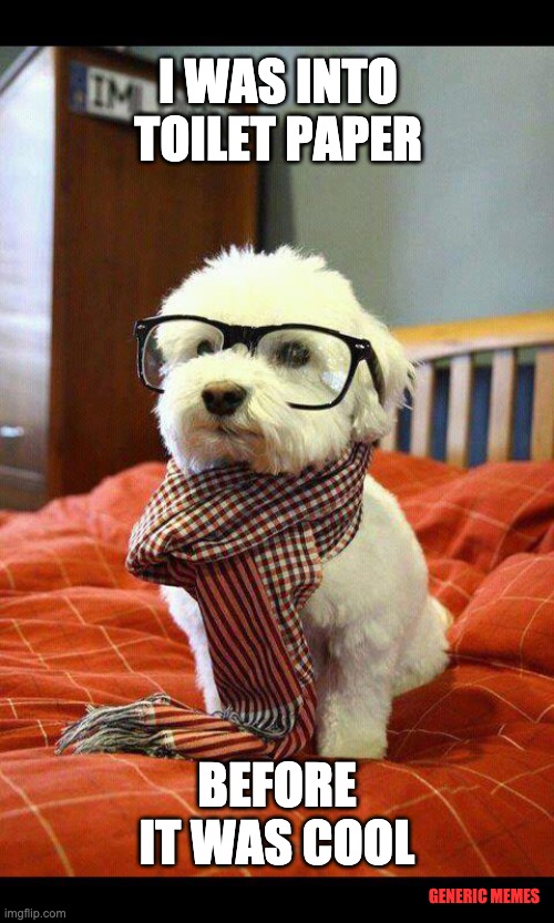 Hipster Covid Dog | I WAS INTO TOILET PAPER; BEFORE IT WAS COOL; GENERIC MEMES | image tagged in memes,intelligent dog,coronavirus,toilet paper | made w/ Imgflip meme maker