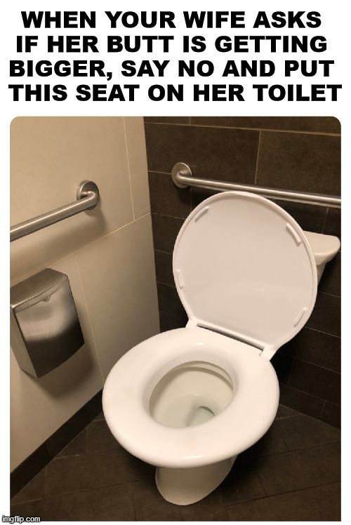 She will just laugh and laugh. | WHEN YOUR WIFE ASKS 
IF HER BUTT IS GETTING 
BIGGER, SAY NO AND PUT 
THIS SEAT ON HER TOILET | image tagged in toilet seat,big butt,wife,relationship advice | made w/ Imgflip meme maker