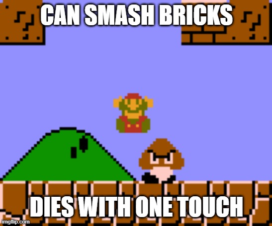 CAN SMASH BRICKS; DIES WITH ONE TOUCH | image tagged in video games,logic | made w/ Imgflip meme maker