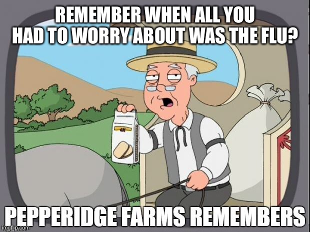 PEPPERIDGE FARMS REMEMBERS | REMEMBER WHEN ALL YOU HAD TO WORRY ABOUT WAS THE FLU? | image tagged in pepperidge farms remembers | made w/ Imgflip meme maker