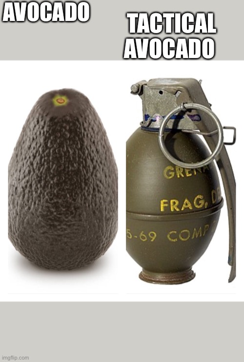 AVOCADO; TACTICAL AVOCADO | image tagged in avocado,army,funny | made w/ Imgflip meme maker