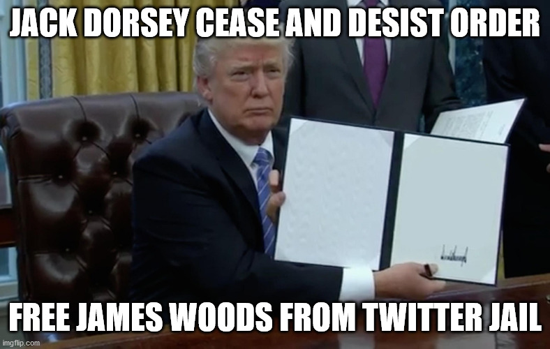 Executive Order Trump | JACK DORSEY CEASE AND DESIST ORDER; FREE JAMES WOODS FROM TWITTER JAIL | image tagged in executive order trump | made w/ Imgflip meme maker
