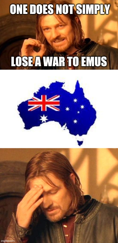 ONE DOES NOT SIMPLY; LOSE A WAR TO EMUS | image tagged in memes,one does not simply,australia,frustrated boromir,emu,history | made w/ Imgflip meme maker