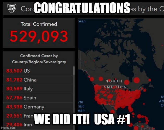 Winning! | CONGRATULATIONS; WE DID IT!!  USA #1 | image tagged in coronavirus,make america great again | made w/ Imgflip meme maker