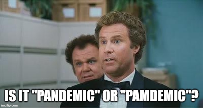 Stepbrothers | IS IT "PANDEMIC" OR "PAMDEMIC"? | image tagged in stepbrothers | made w/ Imgflip meme maker