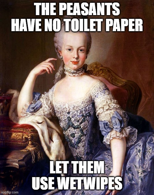 Marie Antoinette | THE PEASANTS HAVE NO TOILET PAPER; LET THEM USE WETWIPES | image tagged in marie antoinette | made w/ Imgflip meme maker