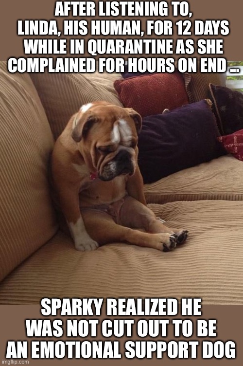 bulldogsad | AFTER LISTENING TO, LINDA, HIS HUMAN, FOR 12 DAYS WHILE IN QUARANTINE AS SHE COMPLAINED FOR HOURS ON END ... SPARKY REALIZED HE WAS NOT CUT OUT TO BE AN EMOTIONAL SUPPORT DOG | image tagged in bulldogsad | made w/ Imgflip meme maker