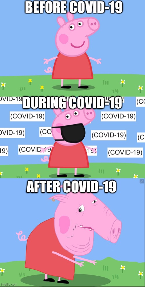 Peppa pig COVID-19 | BEFORE COVID-19; DURING COVID-19; AFTER COVID-19 | image tagged in peppa pig,covid-19,memes,funny,mlg,before and after | made w/ Imgflip meme maker