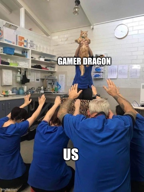 All Hail The Cat | GAMER DRAGON; US | image tagged in all hail the cat | made w/ Imgflip meme maker