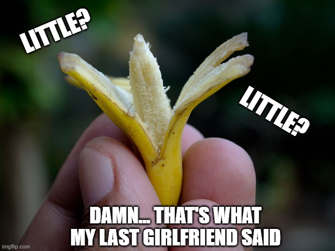 Does Size Matter... in Bananas? | LITTLE? LITTLE? DAMN... THAT'S WHAT MY LAST GIRLFRIEND SAID | image tagged in vince vance,ex-girlfriend,little,bananas,funny memes,size matters | made w/ Imgflip meme maker