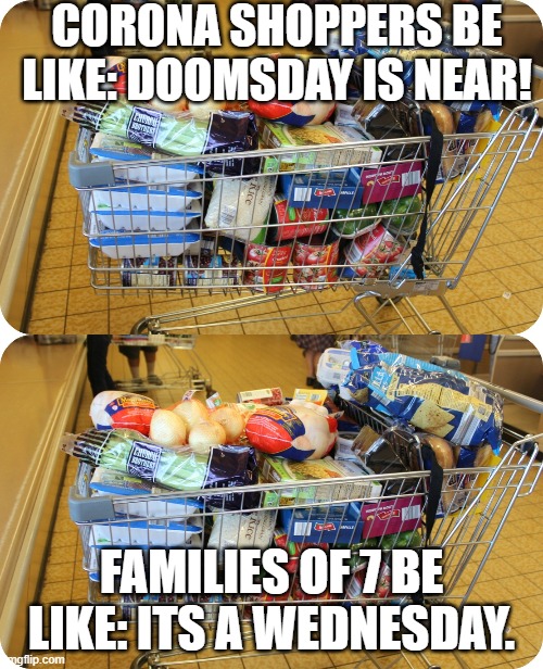 CORONA SHOPPERS BE LIKE: DOOMSDAY IS NEAR! FAMILIES OF 7 BE LIKE: ITS A WEDNESDAY. | image tagged in coronavirus,shopping,family,groceries,memes | made w/ Imgflip meme maker