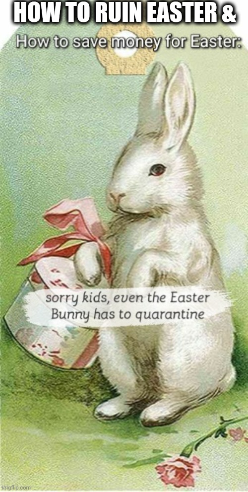 Easter bunny | HOW TO RUIN EASTER & | image tagged in quarantine,covid-19,easter,bunny,money,cancelled | made w/ Imgflip meme maker
