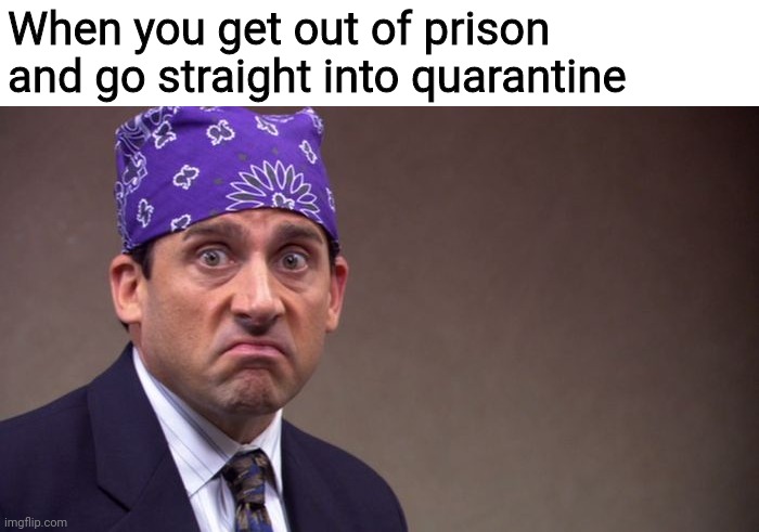 Prison mike | When you get out of prison and go straight into quarantine | image tagged in prison mike,covid,quarantine | made w/ Imgflip meme maker