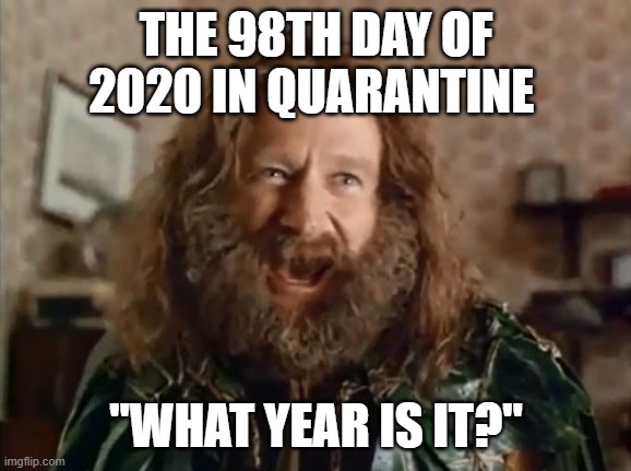 What Year Is It | THE 98TH DAY OF 2020 IN QUARANTINE; "WHAT YEAR IS IT?" | image tagged in memes,what year is it | made w/ Imgflip meme maker