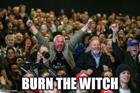 BURN THE WITCH | image tagged in burn the witch | made w/ Imgflip meme maker