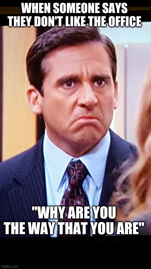 Micheal scott | WHEN SOMEONE SAYS THEY DON'T LIKE THE OFFICE; "WHY ARE YOU THE WAY THAT YOU ARE" | image tagged in micheal scott | made w/ Imgflip meme maker