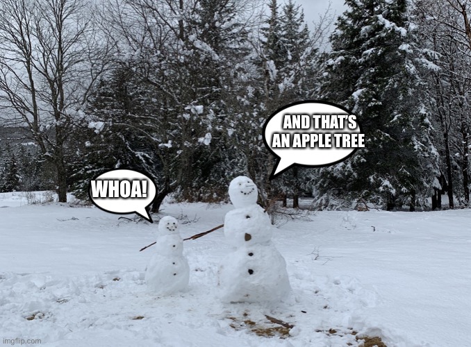Snow people | AND THAT’S AN APPLE TREE; WHOA! | image tagged in and that my child ______,memes | made w/ Imgflip meme maker