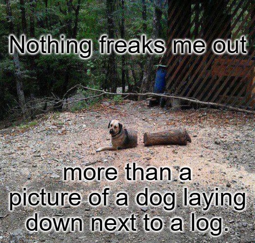 Not really, but it is pretty freaky! | Nothing freaks me out; more than a picture of a dog laying down next to a log. | image tagged in memes,dog,dogs | made w/ Imgflip meme maker