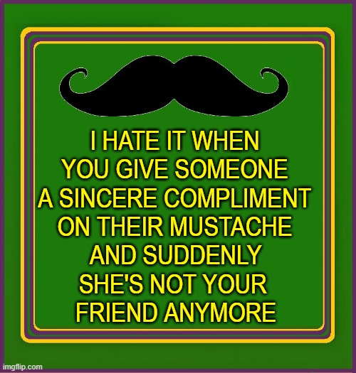 Mustache Etiquette | I HATE IT WHEN YOU GIVE SOMEONE A SINCERE COMPLIMENT ON THEIR MUSTACHE; AND SUDDENLY SHE'S NOT YOUR    FRIEND ANYMORE | image tagged in vince vance,frank zappa,catholic,girls,mustache,new memes | made w/ Imgflip meme maker