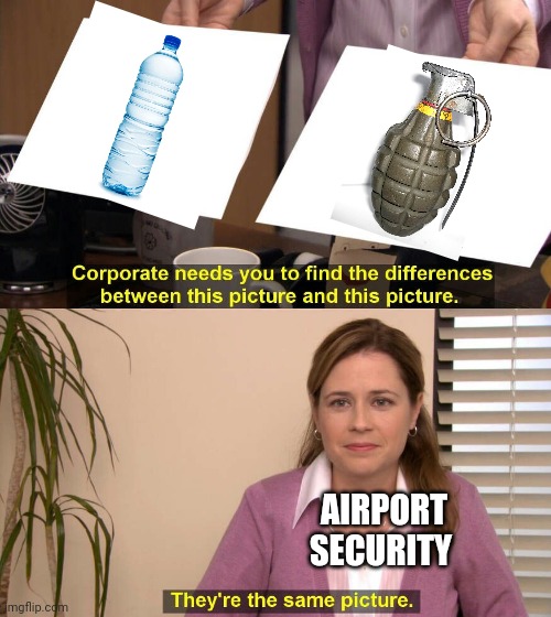 They are the same picture | AIRPORT SECURITY | image tagged in they are the same picture,grenade,water,i too like to live dangerously | made w/ Imgflip meme maker
