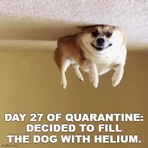 Things have been ruff lately... | DAY 27 OF QUARANTINE:
DECIDED TO FILL THE DOG WITH HELIUM. | image tagged in coronavirus,quarantine,stir crazy | made w/ Imgflip meme maker