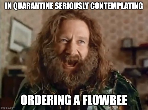 What Year Is It | IN QUARANTINE SERIOUSLY CONTEMPLATING; ORDERING A FLOWBEE | image tagged in memes,what year is it,flowbee,quarantine,covid-19 | made w/ Imgflip meme maker