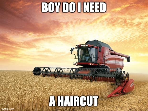 Harvest | BOY DO I NEED; A HAIRCUT | image tagged in harvest | made w/ Imgflip meme maker