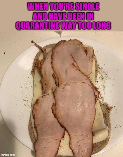 This sandwich needs to chill the hell out! | WHEN YOU'RE SINGLE AND HAVE BEEN IN QUARANTINE WAY TOO LONG | image tagged in sandwich butt,memes,funny food,funny,quarantine,single | made w/ Imgflip meme maker