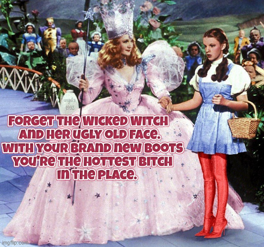 image tagged in wizard of oz,dorothy,wicked witch,bitch,boots,shoes | made w/ Imgflip meme maker
