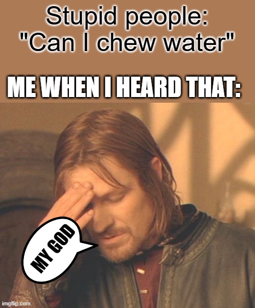 Frustrated Boromir Meme | Stupid people: "Can I chew water"; ME WHEN I HEARD THAT:; MY GOD | image tagged in memes,frustrated boromir | made w/ Imgflip meme maker