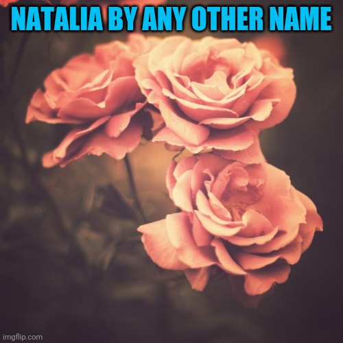 Is that your real name? It's a beautiful one:) | NATALIA BY ANY OTHER NAME | image tagged in beautiful vintage flowers | made w/ Imgflip meme maker