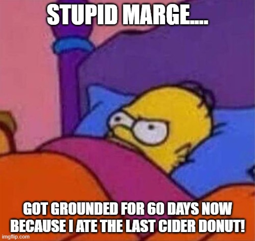 Quarantine now in effect until mid May | STUPID MARGE.... GOT GROUNDED FOR 60 DAYS NOW BECAUSE I ATE THE LAST CIDER DONUT! | image tagged in angry homer simpson in bed,donuts,corona virus,2020 | made w/ Imgflip meme maker